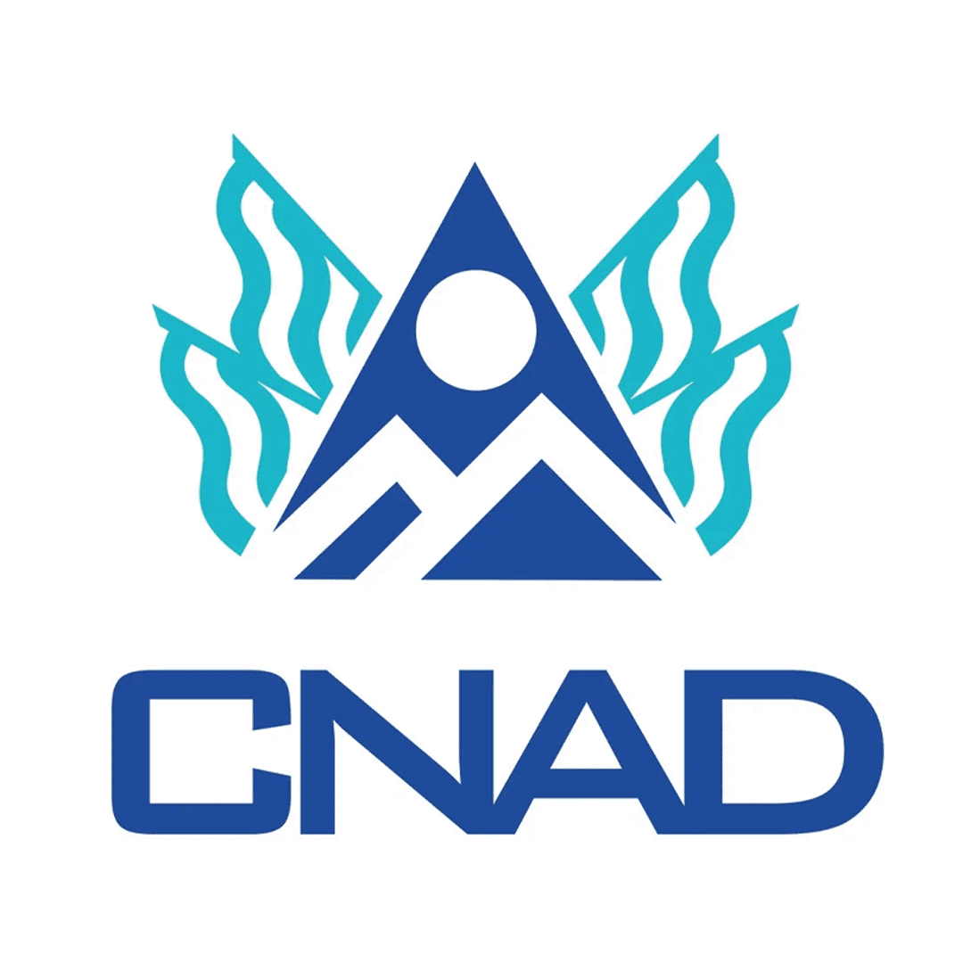 NATIONAL COMMISSION FOR DIGITAL ASSETS — GOVERNMENT OF EL SALVADOR